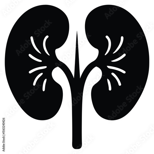 Black illustration of detailed kidneys internal organ anatomy