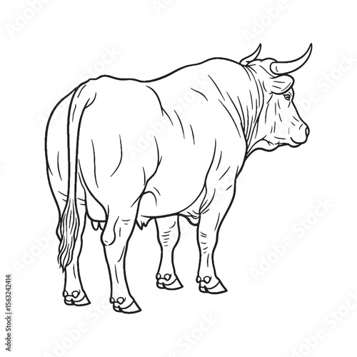 Experience a Traditional Ox Vector - complete with authentic Ox Lineart for historical themes - an iconic Ox Icon - the definitive Vector Lineart of Ox asset.

