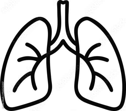 Simple line art illustration of human lungs for healthcare or medical concepts