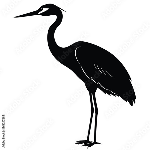 Black silhouette of a standing heron with long legs and beak bird white