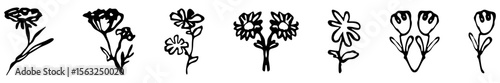 Ink marker gouache flowers hand drawn sketches botanical illustrations. Dry brush stroke simple minimalistic plants vector illustration