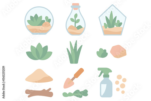 Flat style succulent and terrarium vector illustration for gardening design