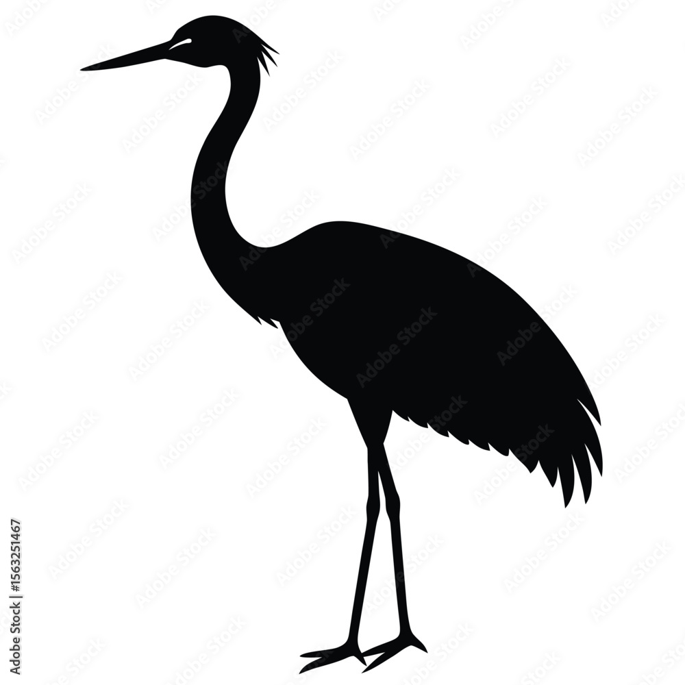Fototapeta premium Elegant black silhouette of a standing crane white bird