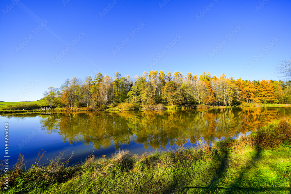 Fototapeta premium Landscape at the Gerolstein reservoir in autumn. Idyllic nature at the lake in the Eifel region. 