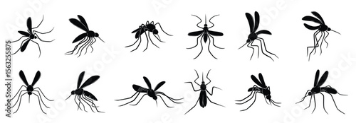 mosquito flying insects carriers viruses bloodsuckers vector drawn mosquitos