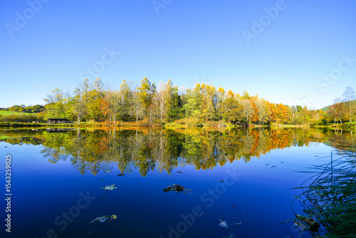 Landscape at the Gerolstein reservoir in autumn. Idyllic nature at the lake in the Eifel region.
