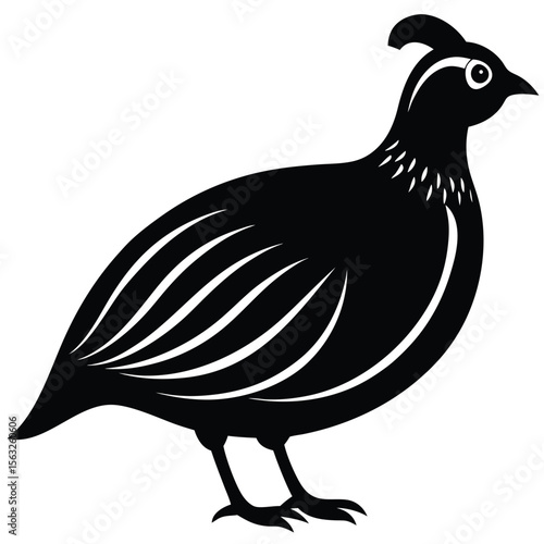 Stylized black quail with white accents bird black and white