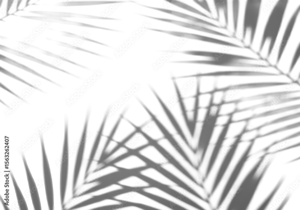 Fototapeta premium Crisp, soft, diffused shadows of tropical palm fronds cast dynamically onto an impeccably clean, bright white background, overhead flat lay with bright studio lighting. Minimalist summer tropical