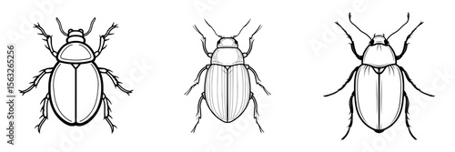 A minimalist illustration of a beetle is depicted in simple line art, featuring a bold black outline set against a white background, making it easily recognizable