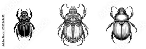 isolated black and white scarab symbol on a white backdrop’ becomes ‘white background featuring a solitary black and white scarab icon