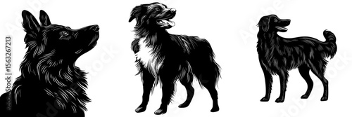 A black and white illustration of a modern black dog silhouette represents a solitary mammal, which is also an animal