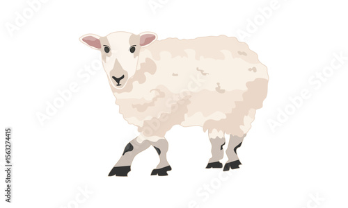 A cute sheep in a cartoon style, a sheep animal vector illustration isolated on a white background