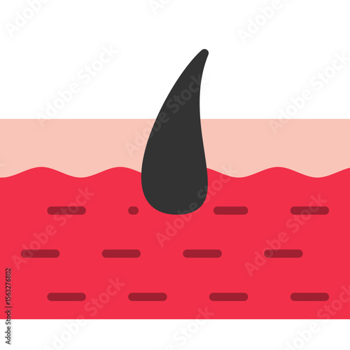 Epidermis Icon