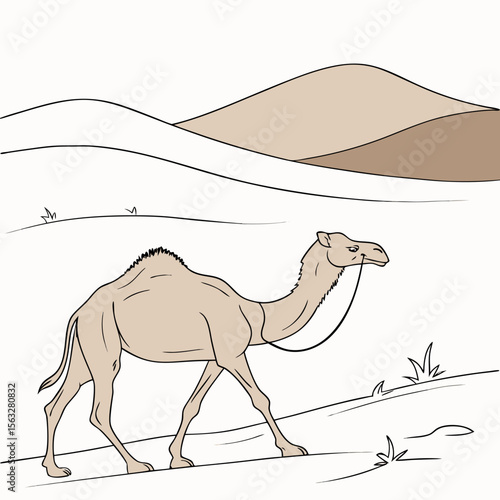 Camels grace the desert landscape, their silhouettes at sunset evoking the wild nature of the Sahara dunes