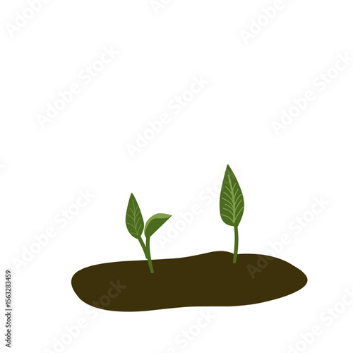 Small shoots, green plant growing in soil, newly growing plant vectors