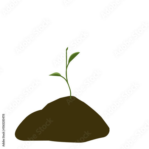 Small shoots, green plant growing in soil, newly growing plant vectors