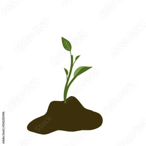 Small shoots, green plant growing in soil, newly growing plant vectors