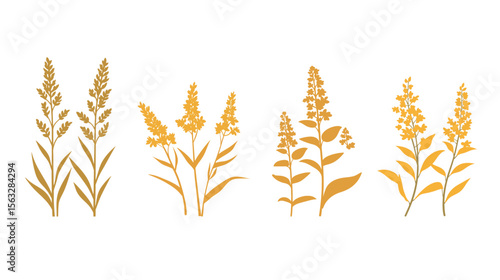 set of wheat ears