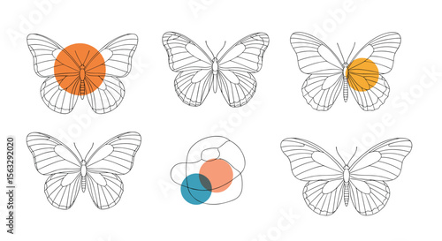 Wallpaper Mural Creative butterfly designs featuring abstract geometric shapes and subtle color accents for artistic projects Torontodigital.ca