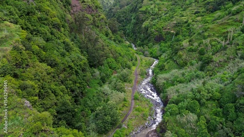 waterfall in the woods