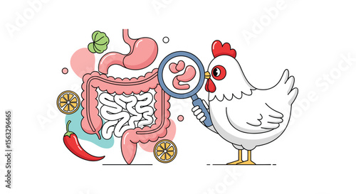 Poultry gut health and digestion science explained for farmers