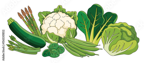 Assortment of Colorful Fresh Green Vegetables