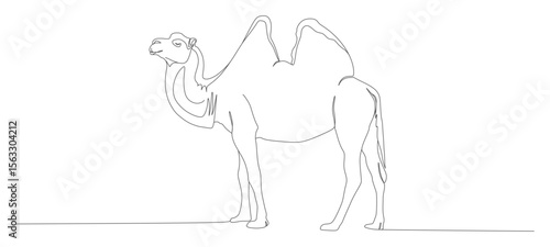 camel animal continuous line vector design
