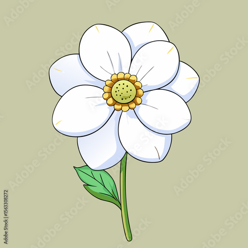 vector flower background