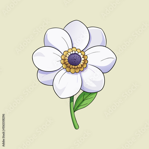 vector illustration of a daisy