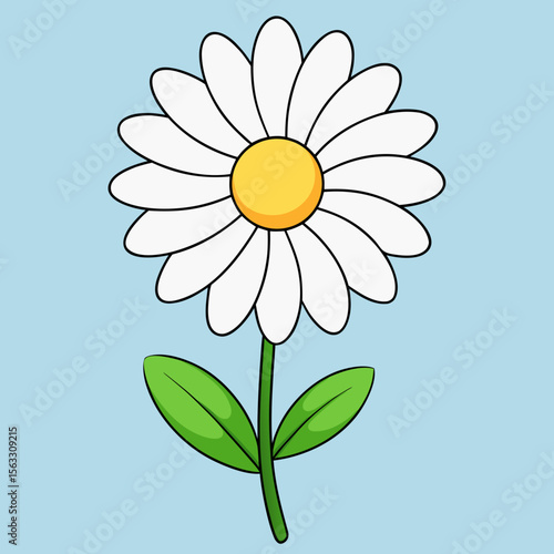 camomile on a blue background