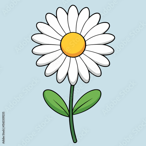 camomile on a blue background
