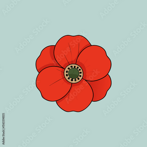 red poppy flower