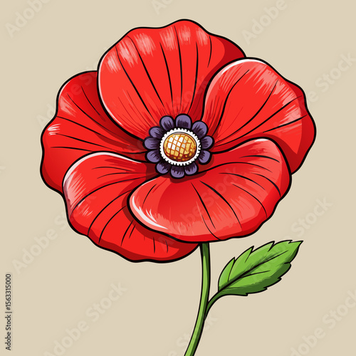 red poppy isolated on white