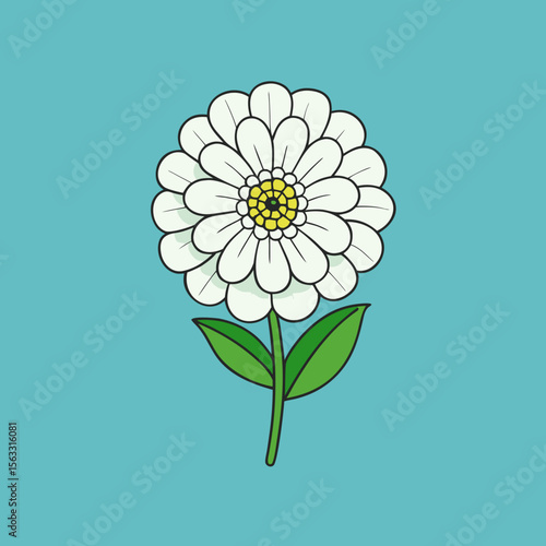 vector illustration of a camomile