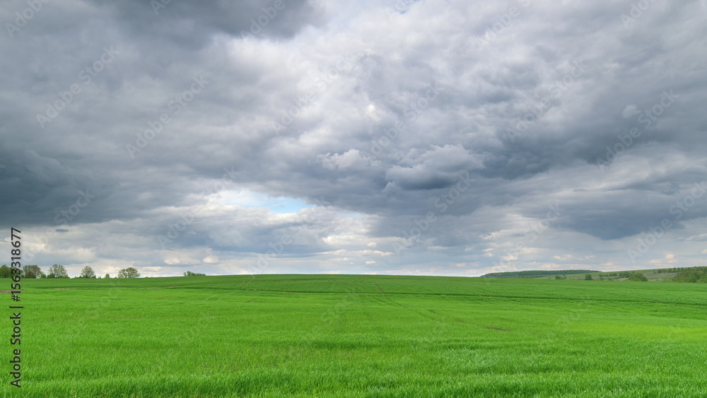 Obraz premium A beautiful lush green field stretches out magnificently beneath a captivating cloudy sky Time lapse.