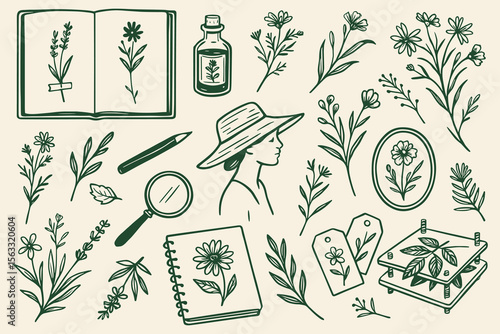 Botanical Sketchbook Illustration Set with Flowers and Tools for Plant Study