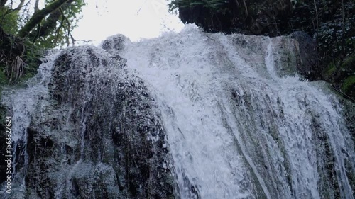 Cascade perdue dans la forêt
