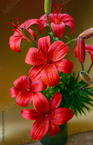 A bright bouquet of red lilies in full bloom with buds, placed in a vase against a dark background. An elegant floral arrangement with contrast, perfect for botanical, romantic or home themes.