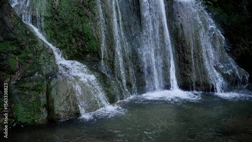 Cascade perdue dans la forêt