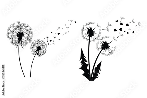 Dandelion Seeds Blowing Heart Design