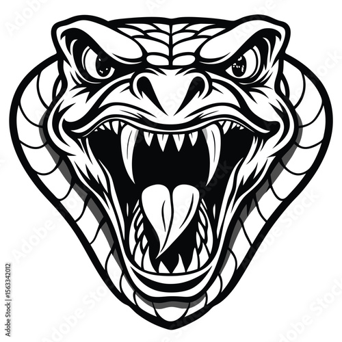 Aggressive snake head illustration