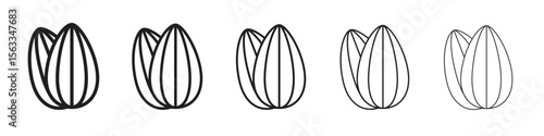 Almond icon symbol in thin line, Black outline and stroke style