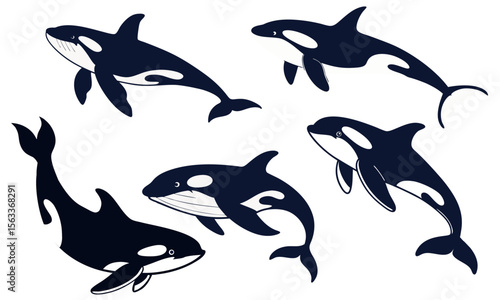 killer whale orca silhouette vector set.Black white vector illustration of sea predatory fish.
