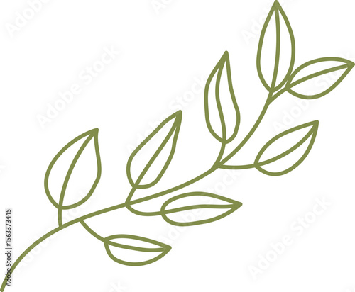 Minimalist Green Leaf Branch Illustration

