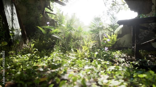 The warm glow of sunlight filters through an abandoned building, casting light on vibrant plants and wildflowers that flourish in the overgrown space, creating a serene atmosphere.
