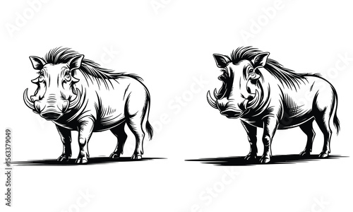 warthog vector