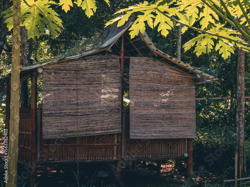 Fototapeta A traditional bamboo hut with woven walls stands in a lush tropical garden surro