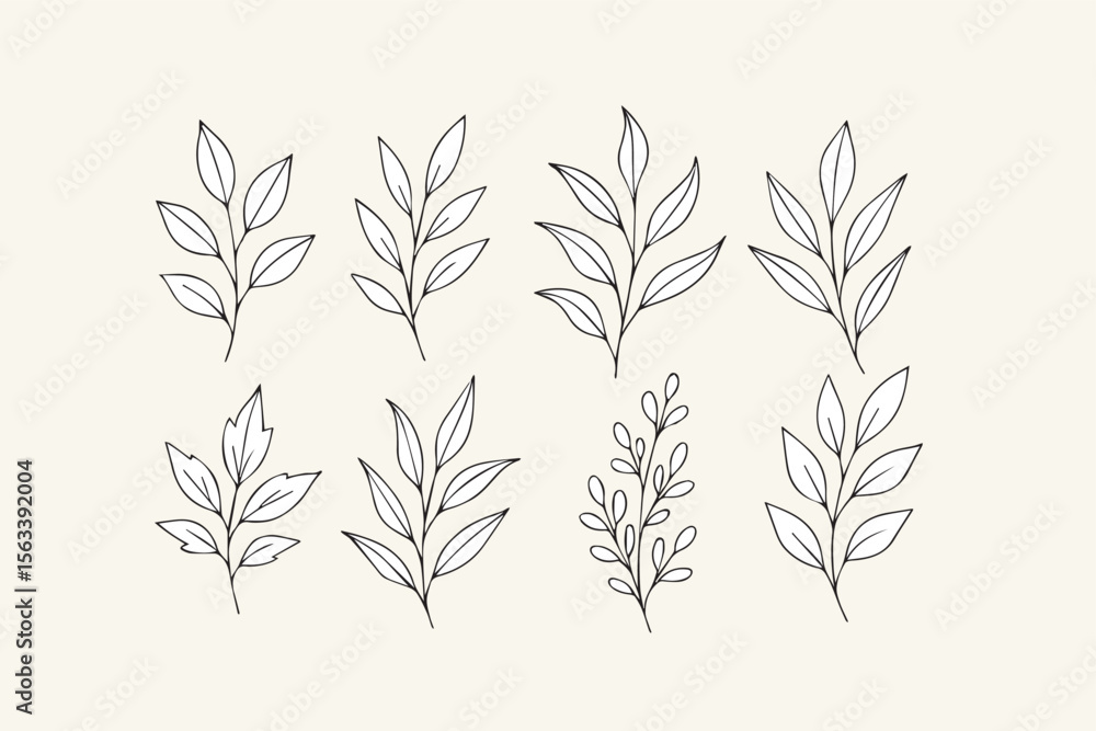 Fototapeta premium Botanical line art