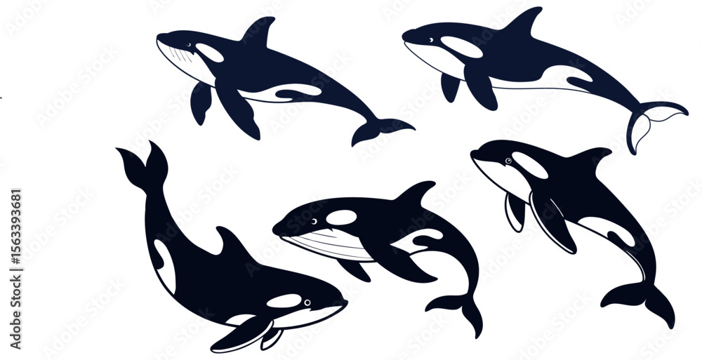 Obraz premium killer whale orca silhouettes vector set.Black white vector illustration of sea predatory fish.