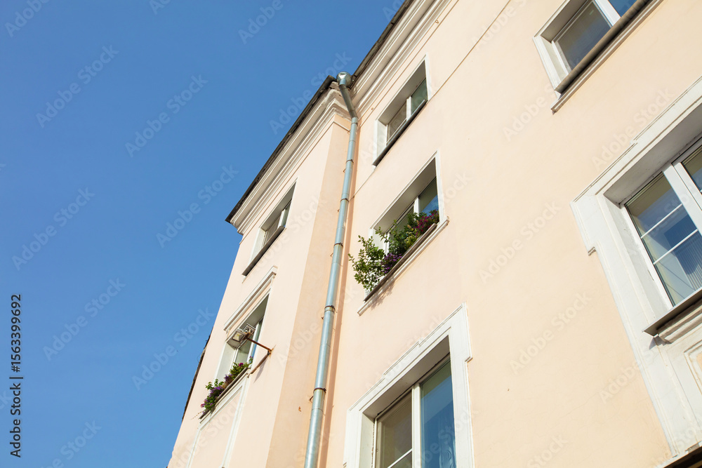 Fototapeta premium Bright day over a pastel colored building with plants